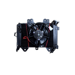 Cargar imagen en el visor de galería, RADIADIOR PUL 200 NS ORIGINAL - Mundimotos