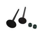 Kit de Valvulas AK 125 Akt Original