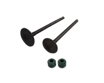 Cargar imagen en el visor de galería, KIT VALVULA TTR150/R3/NE ORIGINAL - Mundimotos