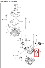 Cargar imagen en el visor de galería, ORING KIT CULATA PULSAR/DISCOVER ORIGINAL - Mundimotos