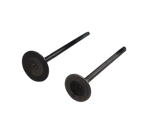 Cargar imagen en el visor de galería, KIT VALVULAS PLATINO125 5S ORIGINAL - Mundimotos
