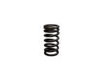 Load image into Gallery viewer, RESORTE VALVULAS/BOXER/CALIBER XXXXXXXXX - Mundimotos