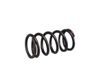 Load image into Gallery viewer, RESORTE CLUTCH (5) PULS200/220 ORIGINAL - Mundimotos