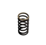 Load image into Gallery viewer, RESORTE CLUTCH (5) PULS.UG - Mundimotos