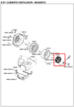 Cargar imagen en el visor de galería, STATOR AGILITY 12 BOB XTREM/RS/NKD ORIGINAL - Mundimotos