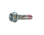 Cargar imagen en el visor de galería, TORNILLO CALIPER AGLITY125/RS/NKD ORIGINAL - Mundimotos