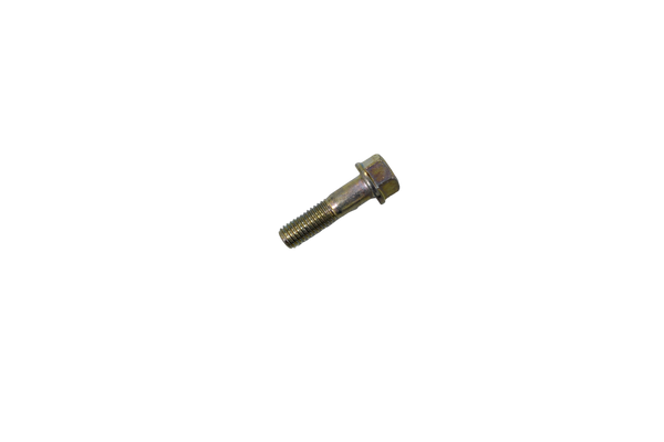 TORNILLO 8X30 DISCOV150/BM100E - Mundimotos