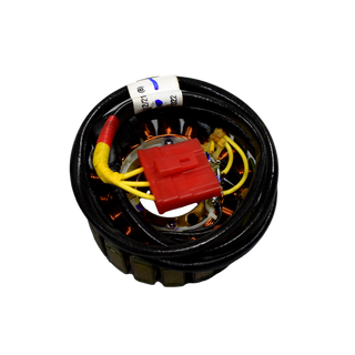 STATOR DOMINAR 250 - Mundimotos