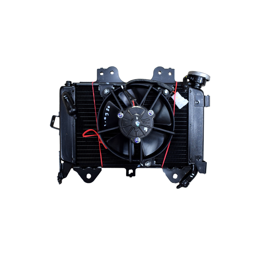 RADIADIOR PUL 200 NS ORIGINAL - Mundimotos
