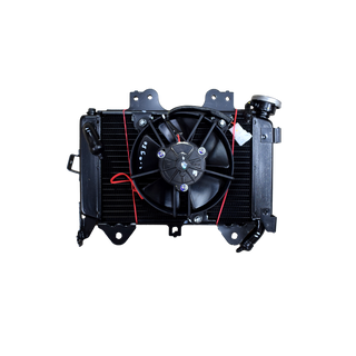 RADIADIOR PUL 200 NS ORIGINAL - Mundimotos