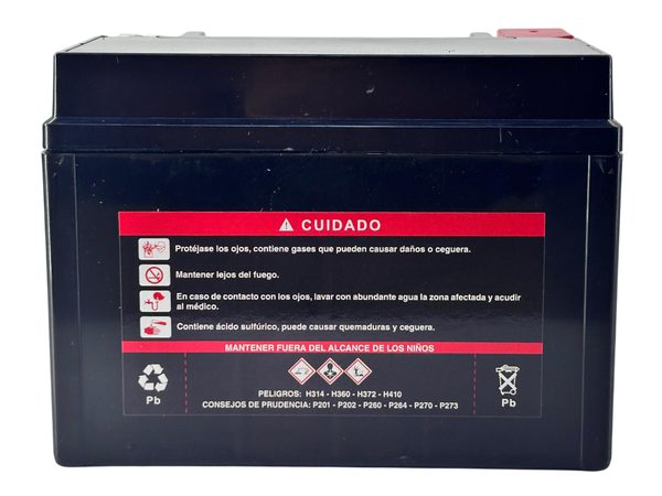 Batería para moto YTZ12-BS Dominar 250