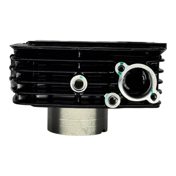 Cilindro Completo Pulsar 180 FI Bajaj original | Repuestos Bajaj