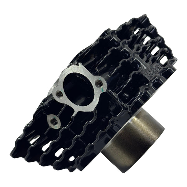 Cilindro Discover 125 St Bajaj Original (Kit)