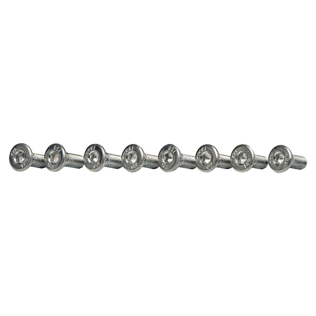 Tornillo de Disco Freno RTR 160 - RTR 180 Tvs Original