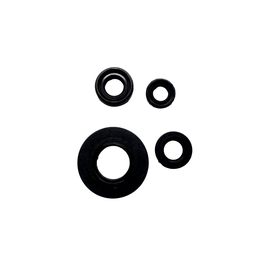 KIT RETEN MOTOR RTR180 - Mundimotos