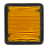 Filtro de Aire RTR 200 Tvs Original