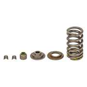 Kit Resorte Valvula 200 Ns Original