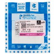 Kit Resorte Valvula 200 Ns Original empaque