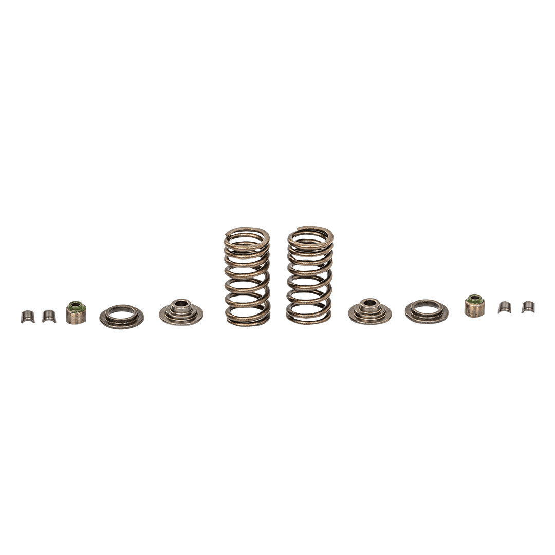 Kit Resorte Valvulas Pulsar 135 Original