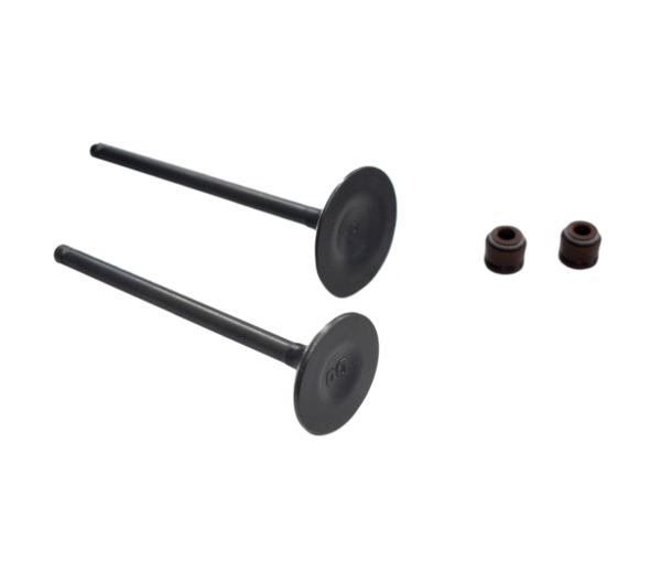 KIT VALVULAS CR5/TTX/TTR180 ORIGINAL - Mundimotos
