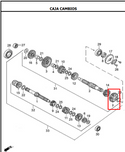 PINON ES 2DA 31T TTR150/NE150 ORIGINAL - Mundimotos