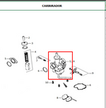 Cargar imagen en el visor de galería, CARBURADOR AK125S/SL/NKD/NKR ORIGINAL - Mundimotos