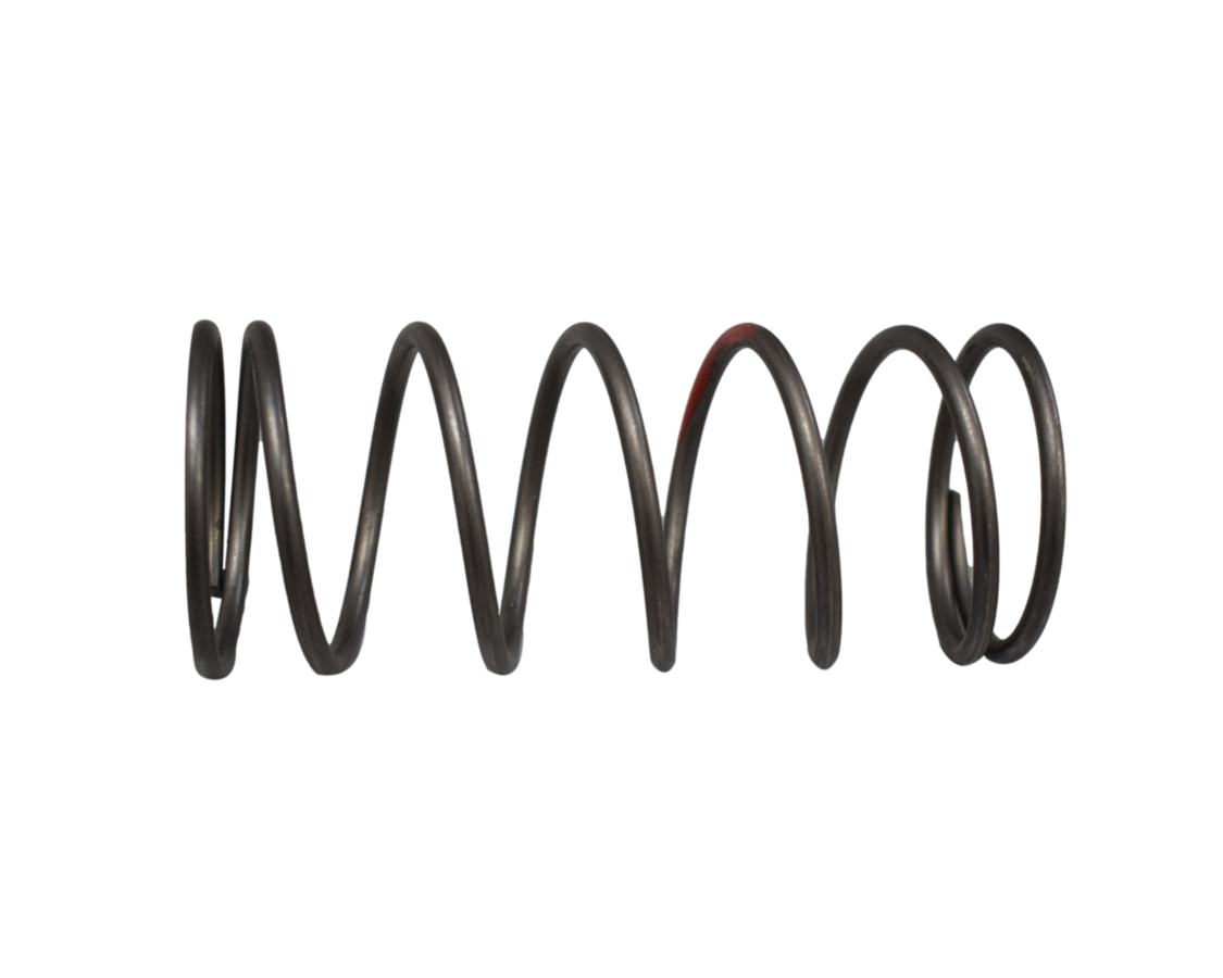 Dynamic 125 Akt Original Centrifugal Spring - Mundimotos