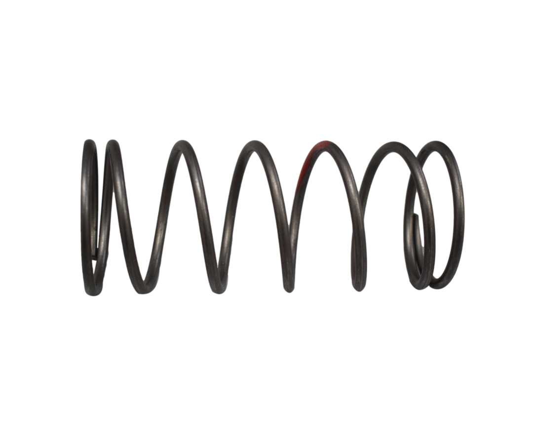 RESORTE CENTRIFUGO DYNAMIC ORIGINAL - Mundimotos