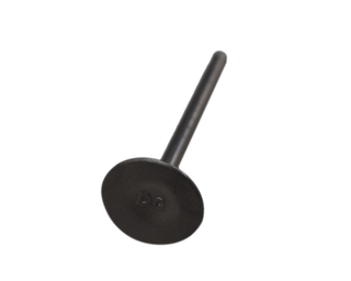 VALVULA IN AK110 ORIGINAL - Mundimotos