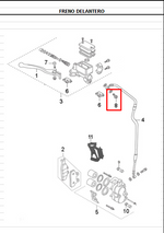 Load image into Gallery viewer, TORNILLO OIL 10X22 110/NKD/TT ORIGINAL - Mundimotos