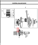 Load image into Gallery viewer, CUNA CIGUENAL LH SLR/NKR ORIGINAL - Mundimotos