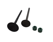 KIT VALVULAS AK125/CGR ORIGINAL - Mundimotos