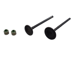 Load image into Gallery viewer, KIT VALVULAS XCD 125 /PLATINO12 INDIA - Mundimotos