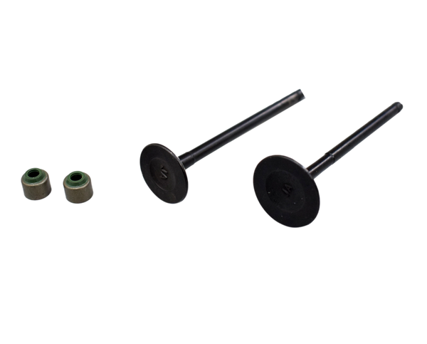 KIT VALVULAS XCD 125 /PLATINO12 INDIA - Mundimotos