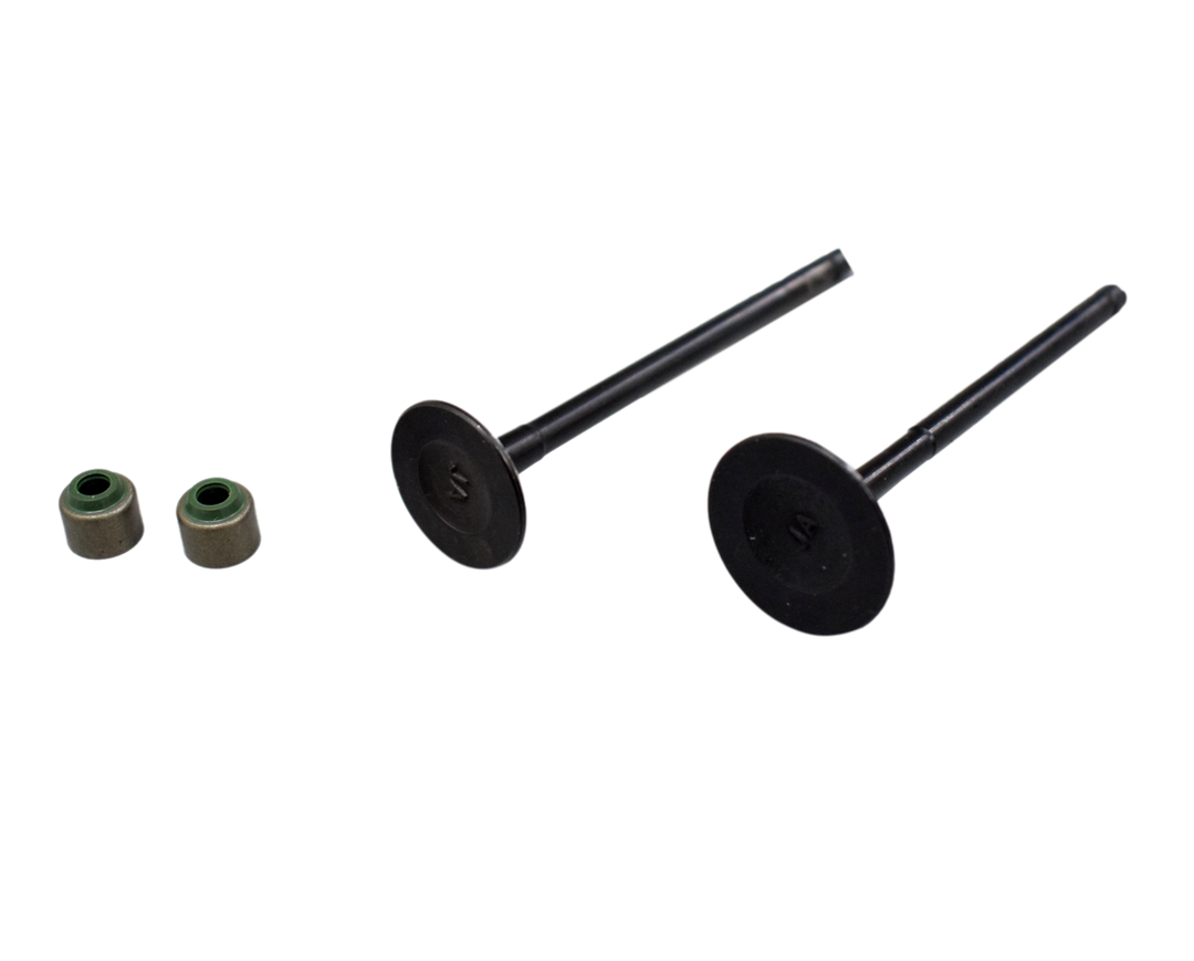 KIT VALVULAS XCD 125 /PLATINO12 INDIA - Mundimotos