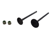 KIT VALVULAS XCD 125 /PLATINO12 INDIA - Mundimotos