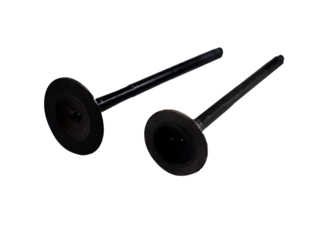 KIT VALVULAS XCD 125 /PLATINO 125 4S ORIGINAL - Mundimotos