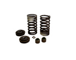 Cargar imagen en el visor de galería, KIT RESORTE VALV BM100ES/KS/DISC1 - Mundimotos