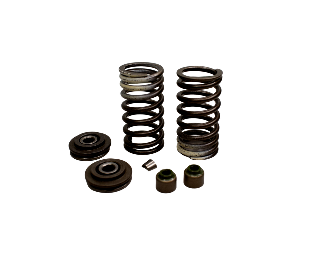 KIT RESORTE VALV BM100ES/KS/DISC1 - Mundimotos
