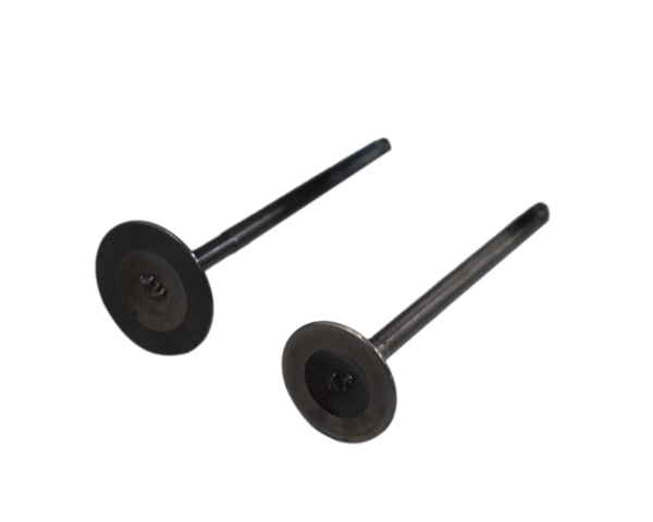 KIT VALVULAS PLATINO125 5S ORIGINAL - Mundimotos