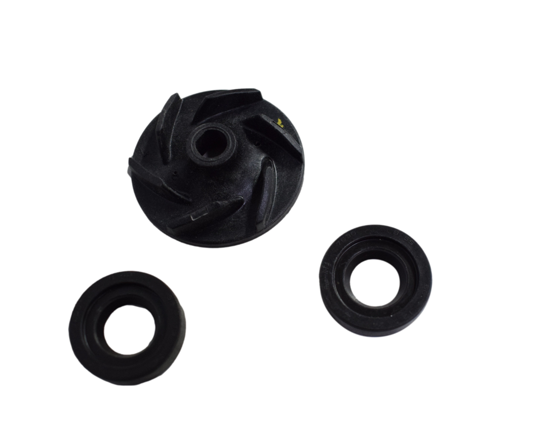 KIT RETEN BOMBA AGUA PUL200NS/AS/DUKE200/SVARTPILEN200 ORIGINAL - Mundimotos