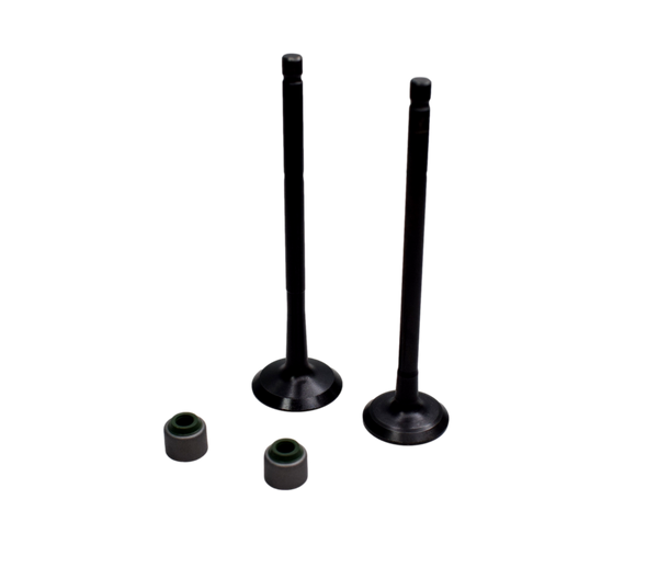 KIT VALVULAS +SELLOS DISC100/BM100ES/KS - Mundimotos