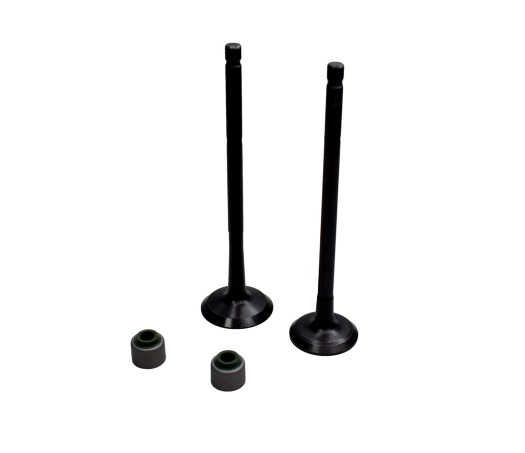 KIT VALVULAS +SELLOS DISC100/BM100ES/KS - Mundimotos