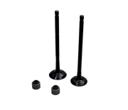 KIT VALVULAS +SELLOS DISC100/BM100ES/KS - Mundimotos