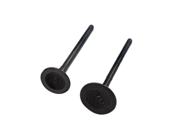 KIT VALVULAS PLATINO 110 ORIGINAL - Mundimotos