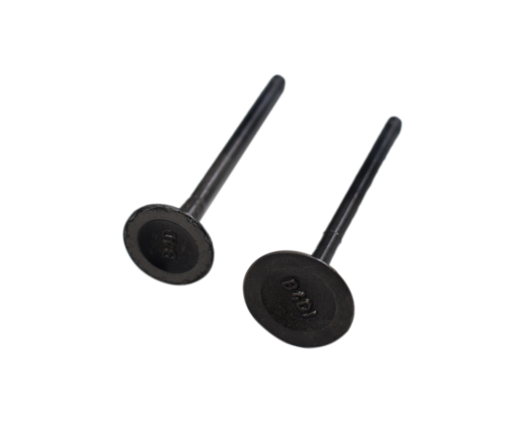 KIT VALVULAS PLATINO 110 ORIGINAL - Mundimotos