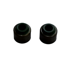 RETEN VALVULA PULSAR DTS-I JAPON - Mundimotos