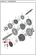 ORING PINON SALIDA PULSAR 135 ORIGINAL - Mundimotos