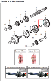BUJE PINON CAJA BOXER TEC-S1D ORIGINAL - Mundimotos