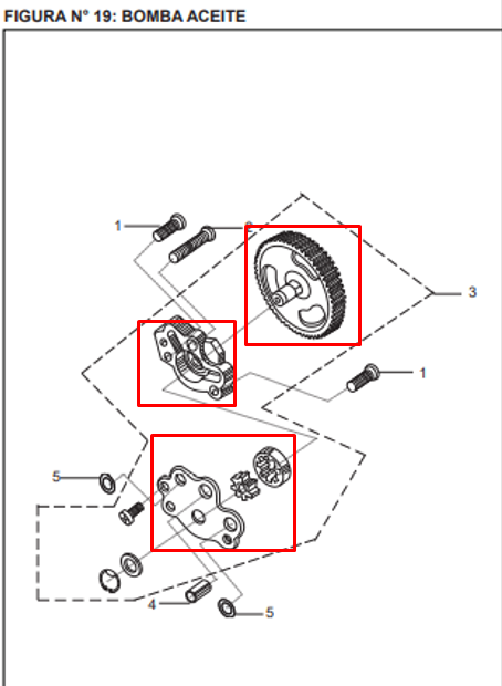 BOMBA OIL 44T BOXER/WIND/CALIBER ORIGINAL - Mundimotos